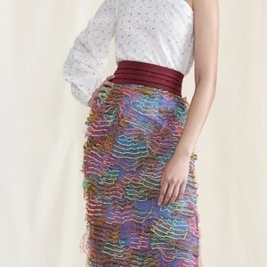 Markarian midi skirt
